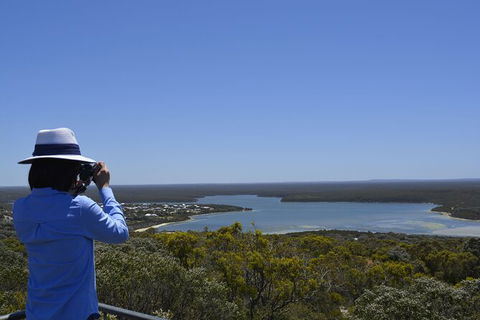 Full-Day Killer Whale Expedition From Albany - Accommodation Rockhampton 5