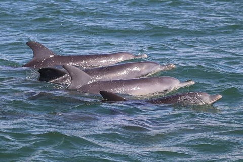 Romance Cruise + Scenic Tour + Beer Tasting + 3 Course Lunch + Hamper - Accommodation Rockhampton 7