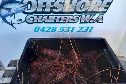 Lobster Fishing Tour At Geraldton - Accommodation Rockhampton 0