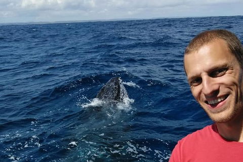 Whale Watching Boat Tour In Geraldton - Accommodation Rockhampton 2