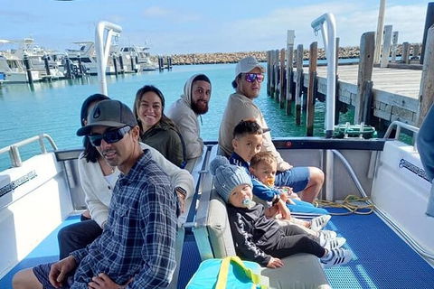 Whale Watching Boat Tour In Geraldton - Accommodation Rockhampton 1