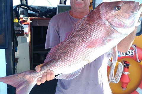 Geraldton Fishing Charter - Accommodation Rockhampton 10