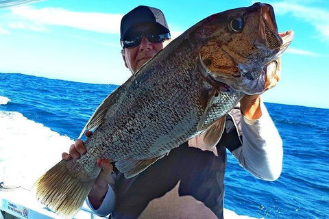 Geraldton Fishing Charter - Accommodation Rockhampton 4