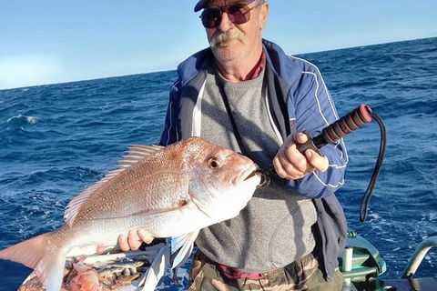 Geraldton Fishing Charter - Accommodation Rockhampton 8