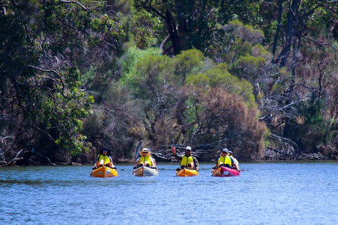 Private Guided River Kayak Tour - Accommodation Rockhampton 6