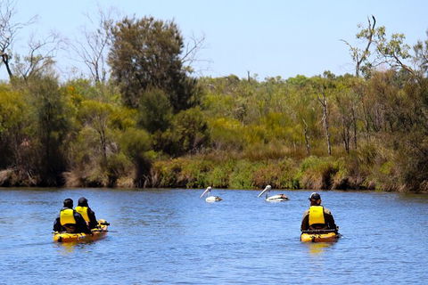 Private Guided River Kayak Tour - Accommodation Rockhampton 4