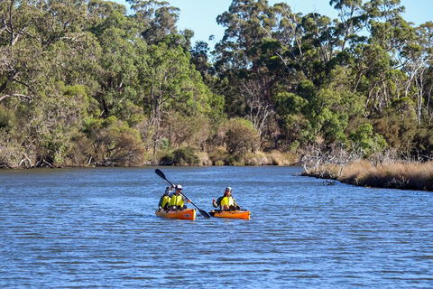 Private Guided River Kayak Tour - Accommodation Rockhampton 7