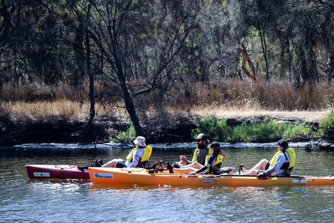 Private Guided River Kayak Tour - Accommodation Rockhampton 3