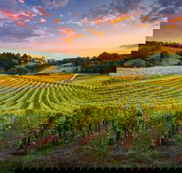Swan Valley Sunset Wine Tour - Premium Small Group Tour - Accommodation Rockhampton