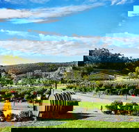 Bickley Valley Wine  Cider Tour - Premium Small Group Tour - Accommodation Rockhampton