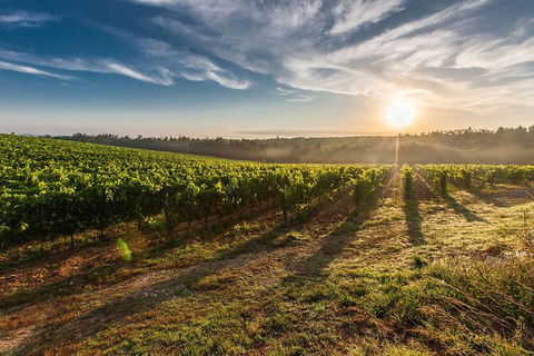 Perth To Margaret River Wine Tour - 2 Day Premium Boutique Wine Tour Experience - Accommodation Rockhampton 0