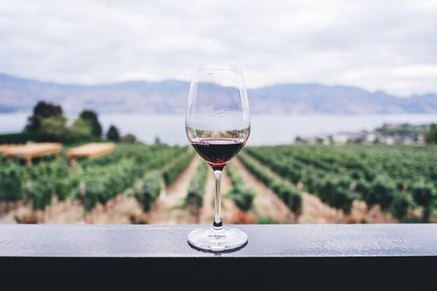 Full-Day Gourmet Wine Tour With Pick Up And Lunch - Accommodation Rockhampton 1