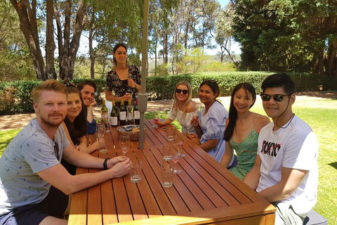 Full-Day Gourmet Wine Tour With Pick Up And Lunch - Accommodation Rockhampton 5