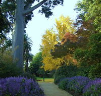 Albury Botanic Garden - Accommodation Rockhampton