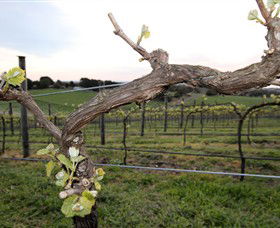 Drysdale VIC Accommodation Rockhampton