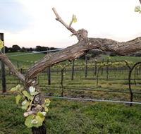 Nalbra Estate Wines - Accommodation Rockhampton