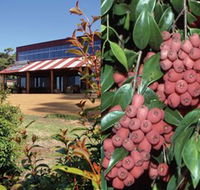 Bushfood Factory and Cafe - Accommodation Rockhampton