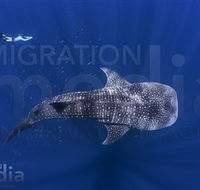 Migration Media - Accommodation Rockhampton