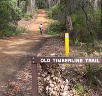Old Timberline and Sidings Rail Trails - Accommodation Rockhampton
