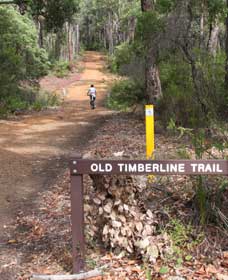 Old Timberline And Sidings Rail Trails - Accommodation Rockhampton 0