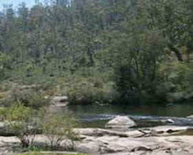 Wellington Discovery Forest - Accommodation Rockhampton 0