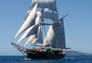 Australian Tallship Cruises - Accommodation Rockhampton 0