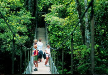 BTS Tours Pty Ltd - Accommodation Rockhampton 4