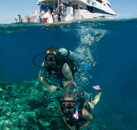 Down Under Cruise and Dive - Accommodation Rockhampton