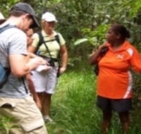 Ingan Tours - Spirit of the Rainforest Tour - Accommodation Rockhampton