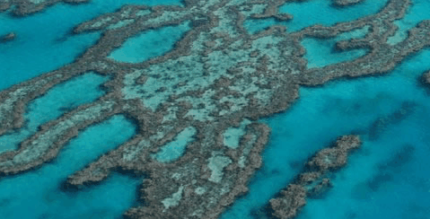 Abel Point Marina - Accommodation Rockhampton 4