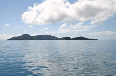 Whitehaven Xpress Whitehaven Beach Tours - Accommodation Rockhampton 2