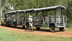 Whitsunday Crocodile Safari - Accommodation Rockhampton 2