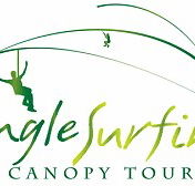 Jungle Surfing Canopy Tours and Jungle Adventures Nightwalks - Accommodation Rockhampton