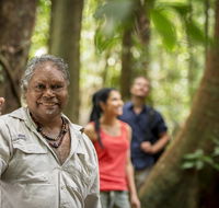 Mossman Gorge Centre - Accommodation Rockhampton