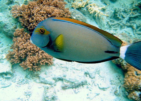 Illusions - Accommodation Rockhampton 0