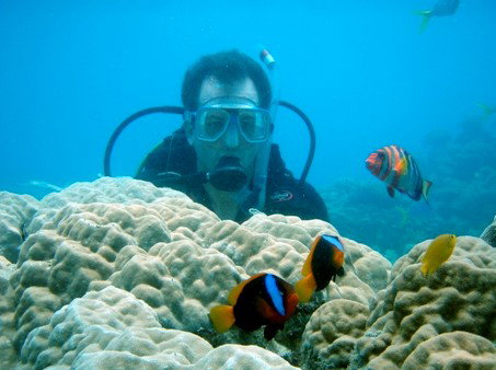 Illusions - Accommodation Rockhampton 1