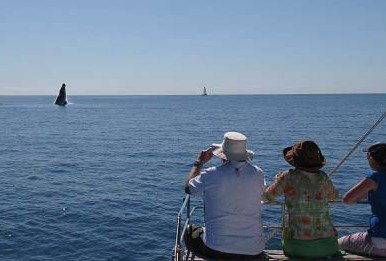 Illusions - Accommodation Rockhampton 5