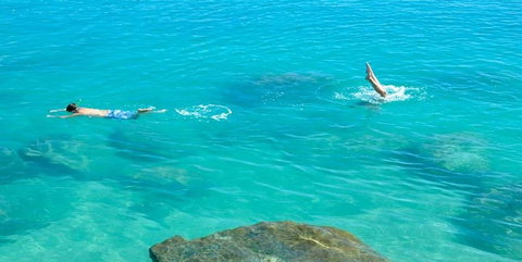 Salty Dog Sea Kayaking - Accommodation Rockhampton 1