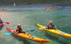 Salty Dog Sea Kayaking - thumb 2