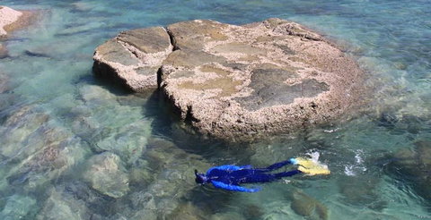 Salty Dog Sea Kayaking - Accommodation Rockhampton 6