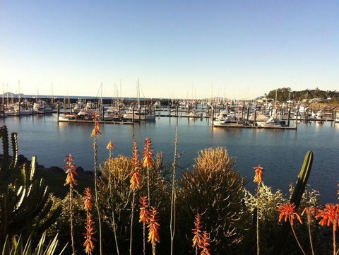 Mantaray Charters - Accommodation Rockhampton 0