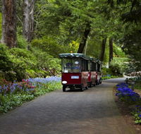 Araluen Botanic Park - Accommodation Rockhampton