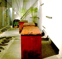 Koi - Accommodation Rockhampton