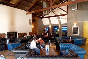 Mosskito - Accommodation Rockhampton 0