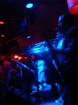 The Night Cat - Accommodation Rockhampton 2