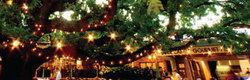 Neutral Bay NSW Accommodation Rockhampton