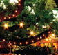 The Oaks - Accommodation Rockhampton