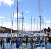 Oyster Cove Inn - Accommodation Rockhampton