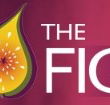 Naked Fig - Accommodation Rockhampton
