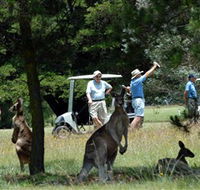 Glen Innes Golf Club - Accommodation Rockhampton
